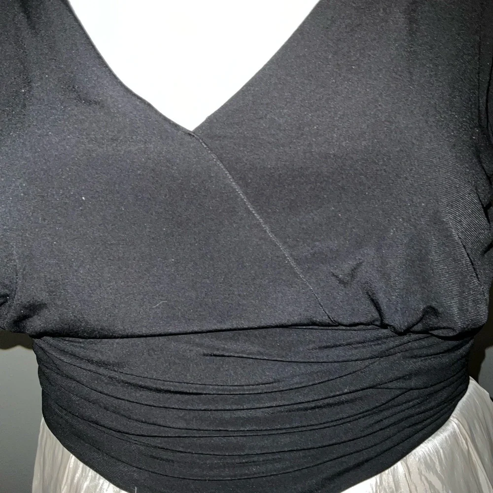 Holiday Plus Dress 24w! - Picture 4 of 6